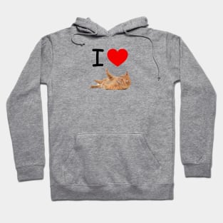 I HEART ORANGE TABBY Hoodie